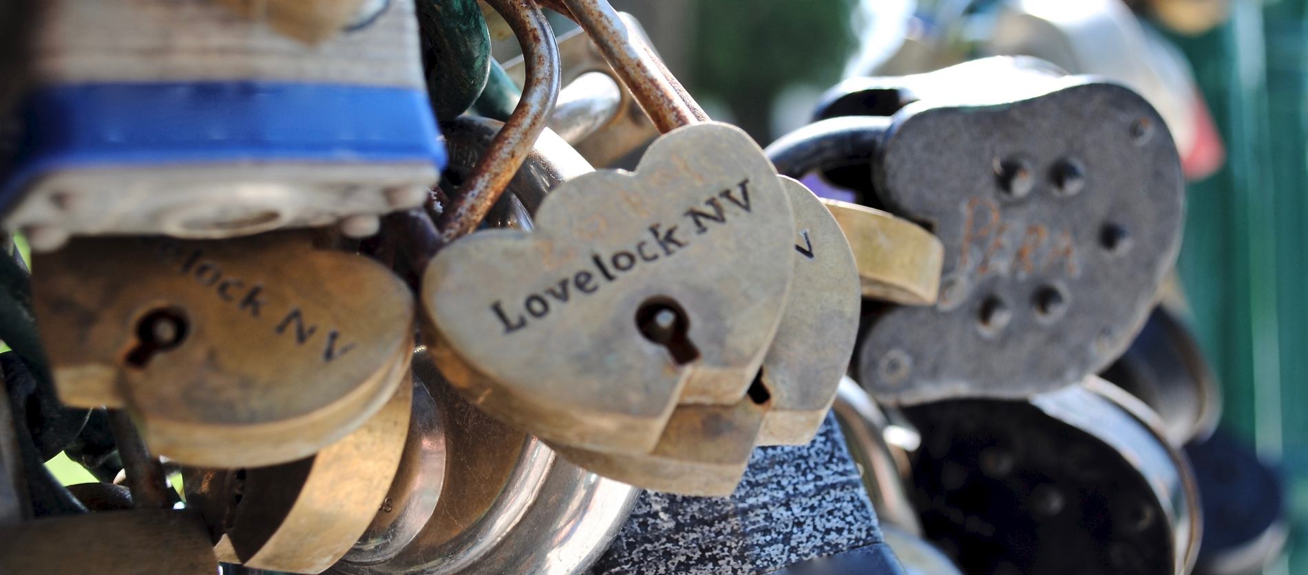 Lovelock