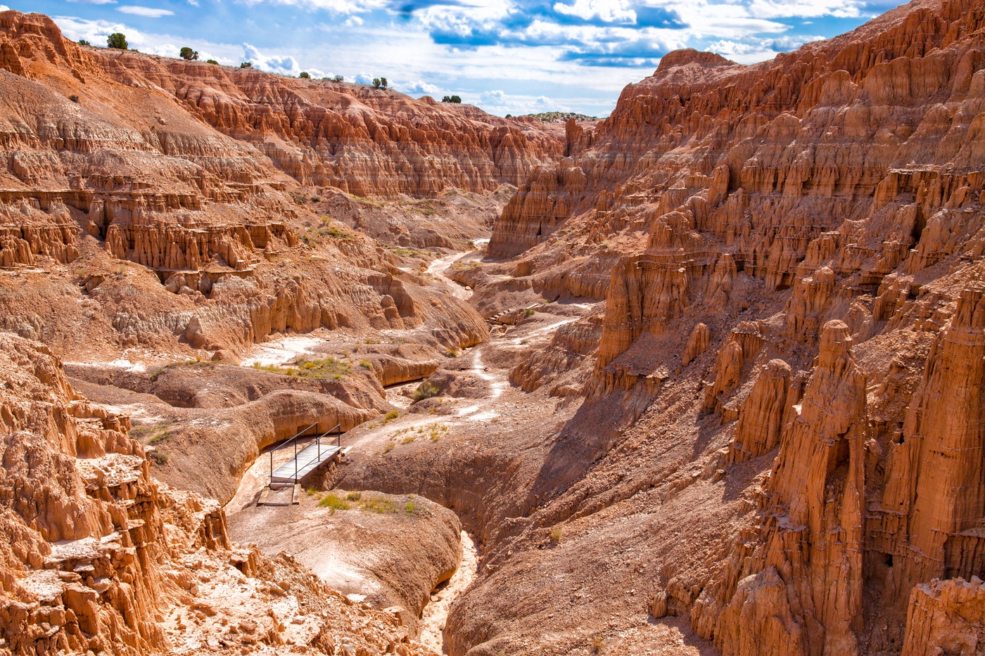 Credit Photo Arlene Waller via Shutterstock