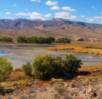 Alamo Pahranagat National Wildlife Refuge Nevada