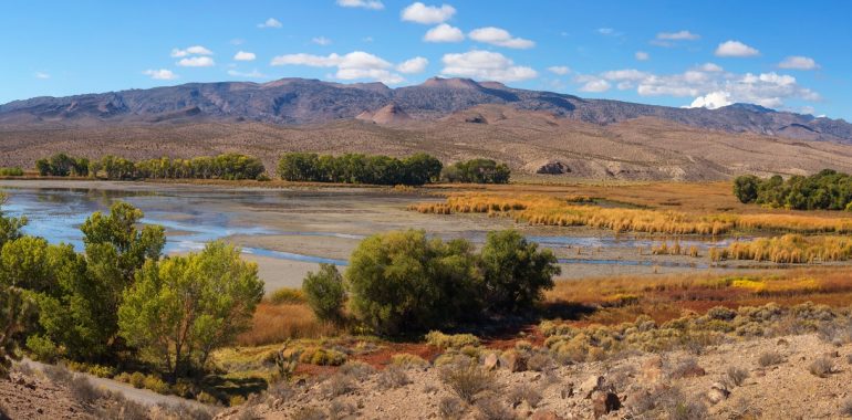 Alamo Pahranagat National Wildlife Refuge Nevada