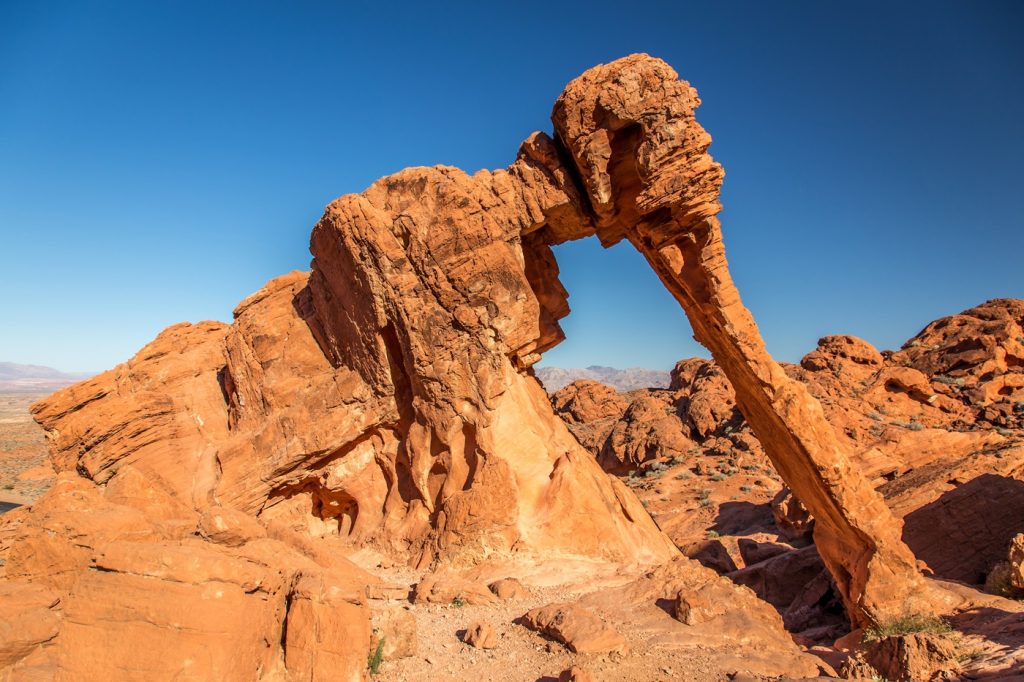 Credit Photo Pierre Leclerc via Shutterstock