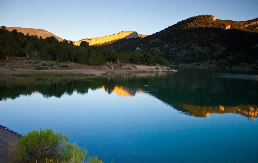 Credit Photo Shane Trotter via Shutterstock
