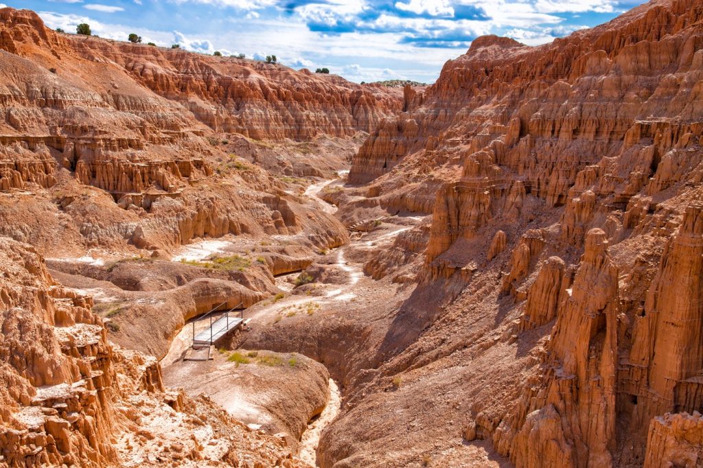 Credit Photo Arlene Waller via Shutterstock