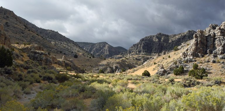 Vallée route 50 près Ely Nevada