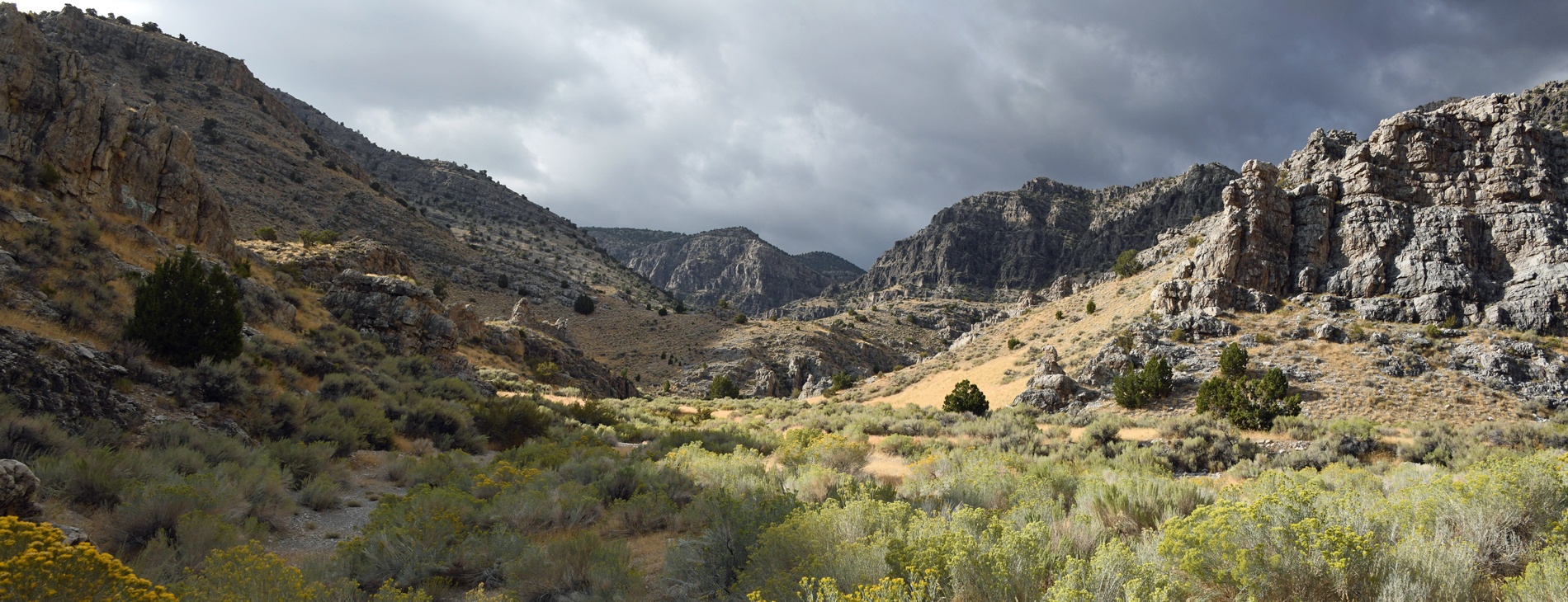 Vallée route 50 près Ely Nevada