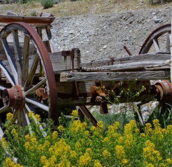 vieux wagon pionnier ville fantome Belmont Nevada